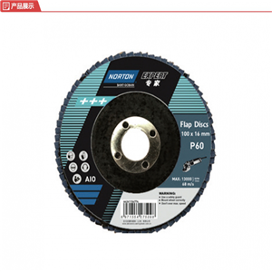 諾頓專家玻纖網(wǎng)蓋平面百頁(yè)碟