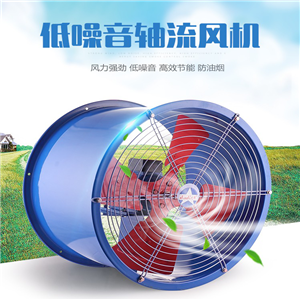 軸流風(fēng)機(jī)220v排風(fēng)扇靜音管道風(fēng)機(jī)工業(yè)排氣扇換氣扇軸流風(fēng)扇