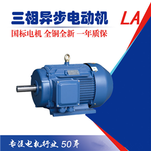 六安江淮電機(jī)國(guó)家三級(jí)能效國(guó)標(biāo)三相異步電動(dòng)機(jī)