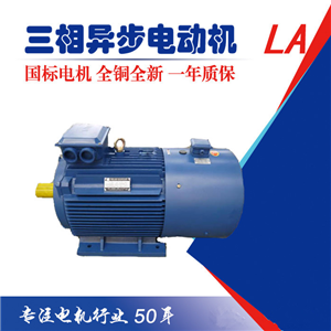 六安江淮電機(jī) 低壓大功率電機(jī) 400-450機(jī)座