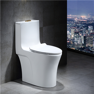 新款家用馬桶超漩虹吸式?jīng)_水緩降蓋板靜音節(jié)水衛(wèi)生間坐便器