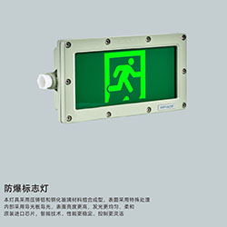 消防應急防爆標志燈 消防應急燈 應急燈