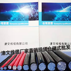 津文線(xiàn)纜BLV鋁塑2.5-240平方