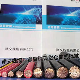 津文線(xiàn)纜ZR-BV塑銅線(xiàn)1-240平方